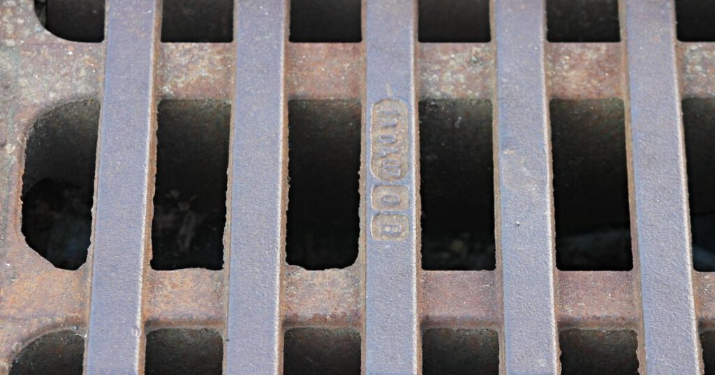 Bild von Manfred Richter auf Pixabay