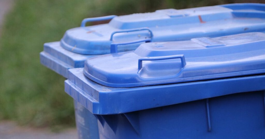 Blaue Papiertonne, Bild von Alexander Fox | PlaNet Fox auf Pixabay.